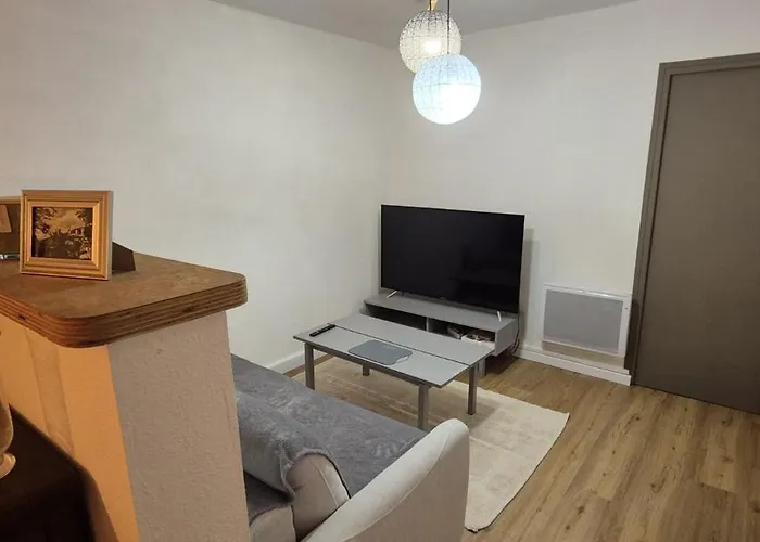 Au Coeur De Апартаменты Тараскон-сюр-Арьеж